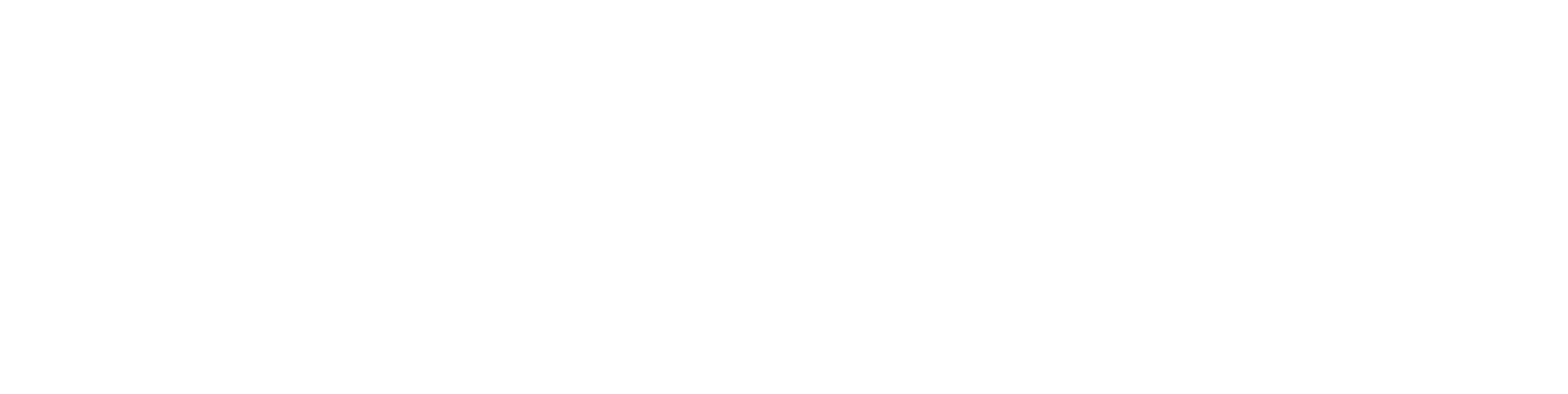 TruBridge